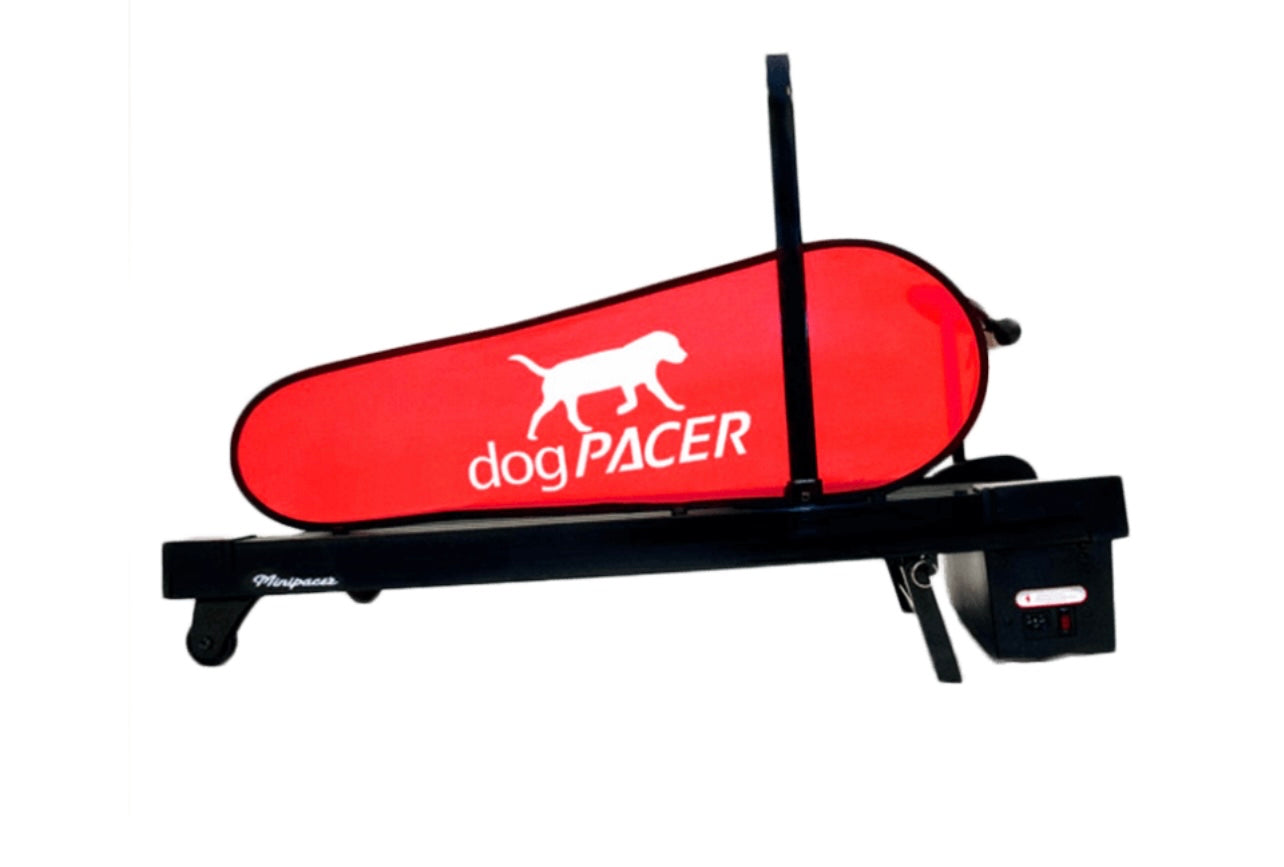 MiniPacer for Small Dogs