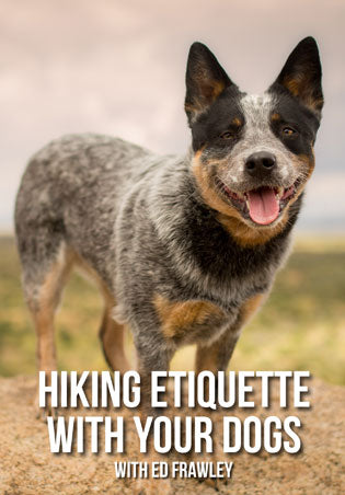 Hiking W/ Your Dogs DVD - Ed Frawley